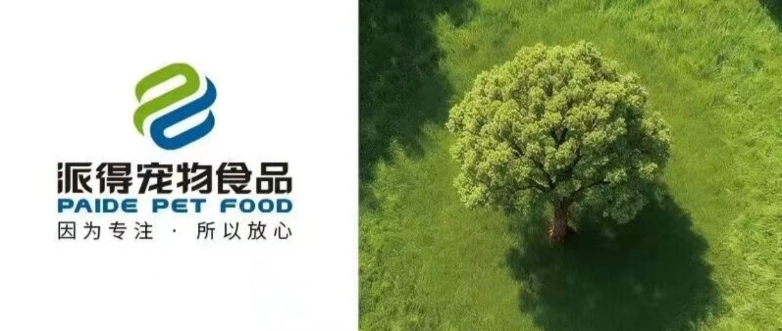 植樹節(jié)丨種下希望 收獲美好